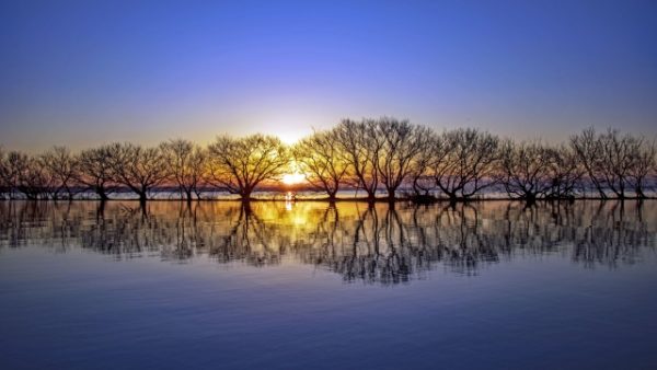 To start and to continue.