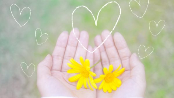 「気」のあるところ